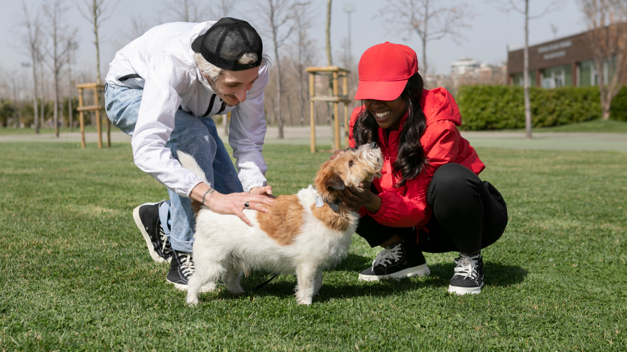 Why Exhaustion in Dog Daycare is not the Measure of Success