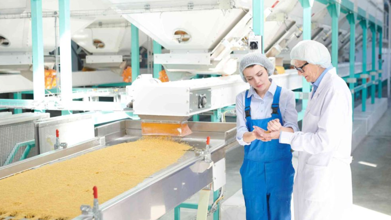 The Crucial Impact of Food Formulation Consultants on Product Development